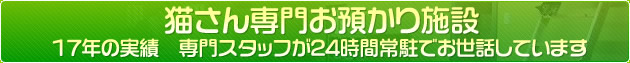 猫さん専門お預かり施設